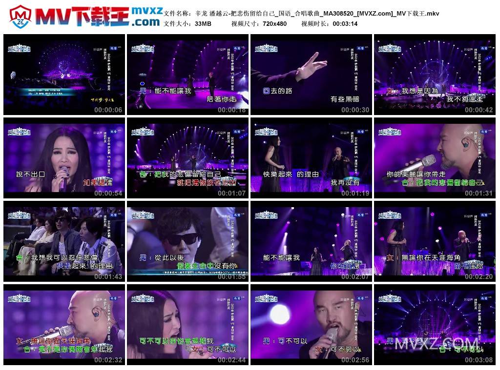 辛龙 潘越云-把悲伤留给自己_国语_合唱歌曲_MA308520